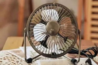 40度高溫下，中國電風扇賣爆歐洲 成了歐洲人的“續命神器”