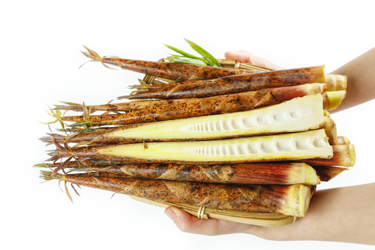 竹筍 從泥土到餐桌的鮮嫩之旅